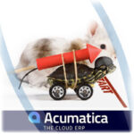Tortoise and a hare with the Acumatica logo.