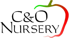 co nursery logo large 0