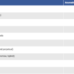 Acumatica vs QuickBooks Functionality Comparison.