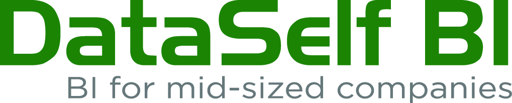 DataSelf BI logo.