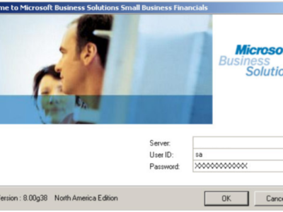 Screenshot of Microsoft Business Solutions Small Business Financial login page.