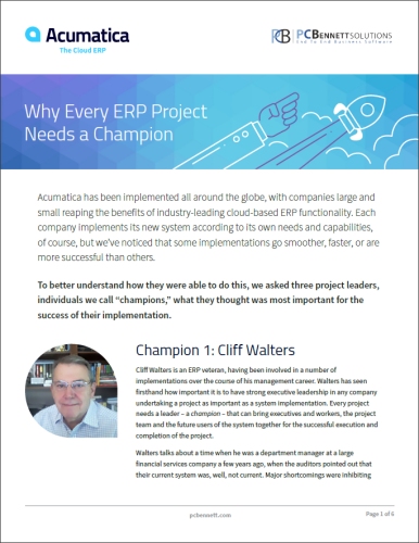 Why Every ERP Project Needs a Champion thumbnail.