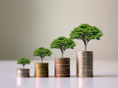 How to Thrive in a Disruptive, Yet Fragile Economy. Image of trees growing with in tandem with growth of money.